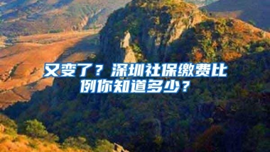 又变了？深圳社保缴费比例你知道多少？