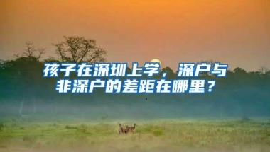 孩子在深圳上学，深户与非深户的差距在哪里？