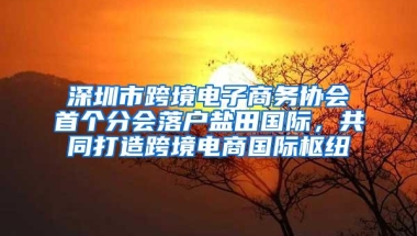 深圳市跨境电子商务协会首个分会落户盐田国际，共同打造跨境电商国际枢纽