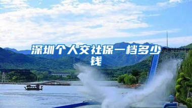 深圳个人交社保一档多少钱