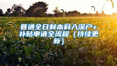 普通全日制本科入深户+补贴申请全流程（持续更新）