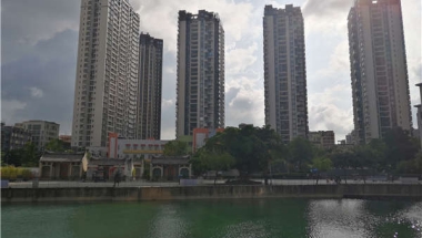 很难想象，2021年深圳集体户口挂靠已经这样了！