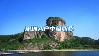 深圳入户中级职称