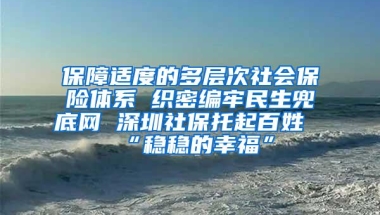 保障适度的多层次社会保险体系 织密编牢民生兜底网 深圳社保托起百姓“稳稳的幸福”