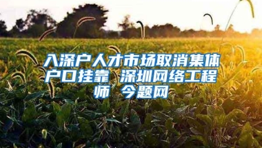 入深户人才市场取消集体户口挂靠 深圳网络工程师 今题网