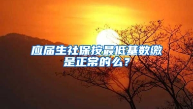 应届生社保按最低基数缴是正常的么？