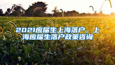 2021应届生上海落户，上海应届生落户政策咨询