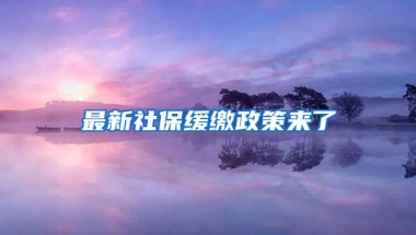 最新社保缓缴政策来了
