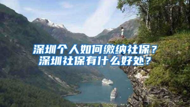 深圳个人如何缴纳社保？深圳社保有什么好处？
