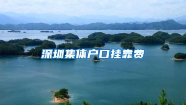 深圳集体户口挂靠费