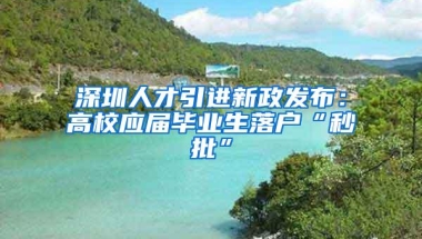 深圳人才引进新政发布：高校应届毕业生落户“秒批”