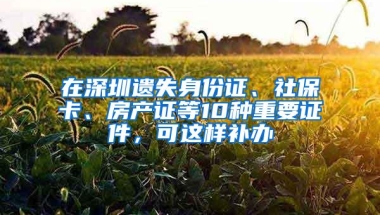 在深圳遗失身份证、社保卡、房产证等10种重要证件，可这样补办