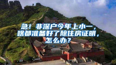 急！非深户今年上小一，啥都准备好了除住房证明，怎么办？
