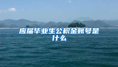 应届毕业生公积金账号是什么