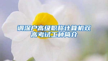 调深户高级职称计算机双高考试工种简介