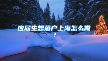 应届生想落户上海怎么做？