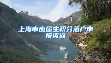 上海市应届生积分落户申报咨询
