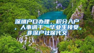深圳户口办理，积分入户，人事调干，毕业生接受，非深户社保代交