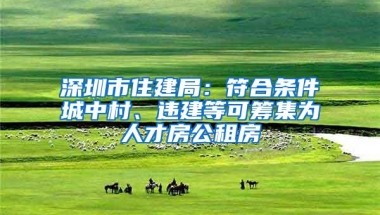 深圳市住建局：符合条件城中村、违建等可筹集为人才房公租房