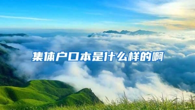 集体户口本是什么样的啊