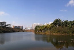 浅谈应对深圳办理核准入户自己怎么办的潜在问题