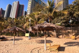 深圳公司开集体户口的热度不减，究竟如何应对才能更简单？