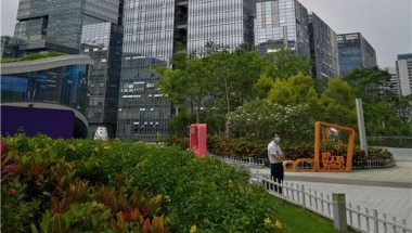 海外留学生回国落户深圳政策的正确方法！