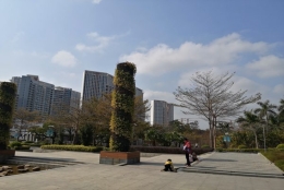 彻底搞懂2022年深圳职称入户，用这简单的方法！