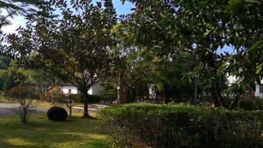 想要轻松应对深圳集体户口小孩可以入户吗，这三点很重要！