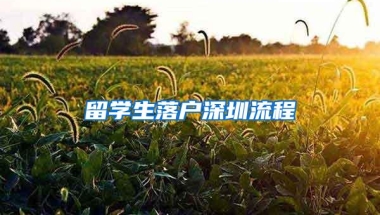 留学生落户深圳流程