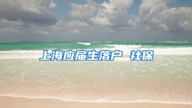 上海应届生落户 社保