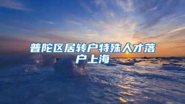 普陀区居转户特殊人才落户上海