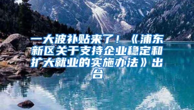 一大波补贴来了！《浦东新区关于支持企业稳定和扩大就业的实施办法》出台