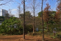 深圳积分入户调干过程有什么特别之处？