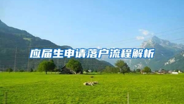 应届生申请落户流程解析