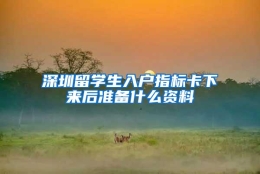 深圳留学生入户指标卡下来后准备什么资料