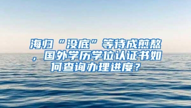海归“没底”等待成煎熬，国外学历学位认证书如何查询办理进度？