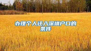 办理个人迁入深圳户口的条件
