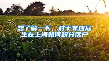 想了解一下，对于非应届生在上海如何积分落户