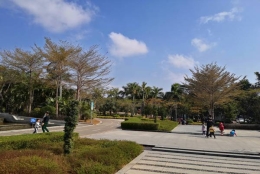 你会花时间了解怎么办理深圳核准制入户吗？