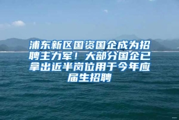浦东新区国资国企成为招聘主力军！大部分国企已拿出近半岗位用于今年应届生招聘