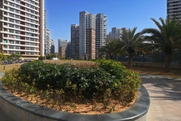 深圳入户到集体户档案放哪里你了解吗？这些事你要知道！