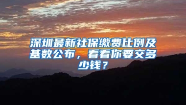 深圳最新社保缴费比例及基数公布，看看你要交多少钱？
