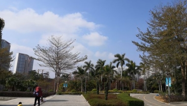 留学生入户深圳要多长时间—被忽略的盲点