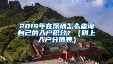2019年在深圳怎么查询自己的入户积分？（附上入户分值表）