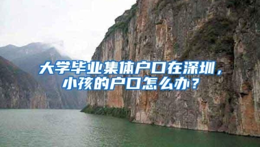 大学毕业集体户口在深圳，小孩的户口怎么办？