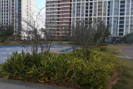 普通人如何解决深圳博士落户2022问题？教你3个法则，让你轻松应对