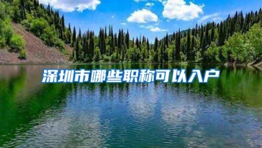 深圳市哪些职称可以入户