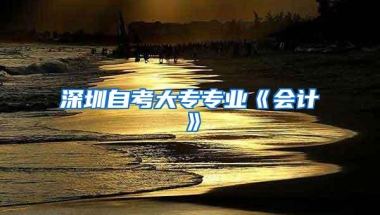 深圳自考大专专业《会计》