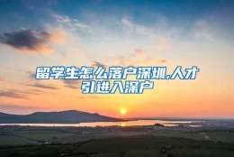 留学生怎么落户深圳,人才引进入深户